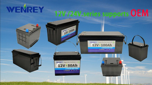 OEM 12V Factory Supply Price Long Life 200ah LiFePO4 Rechargeable Lithium Ion Battery